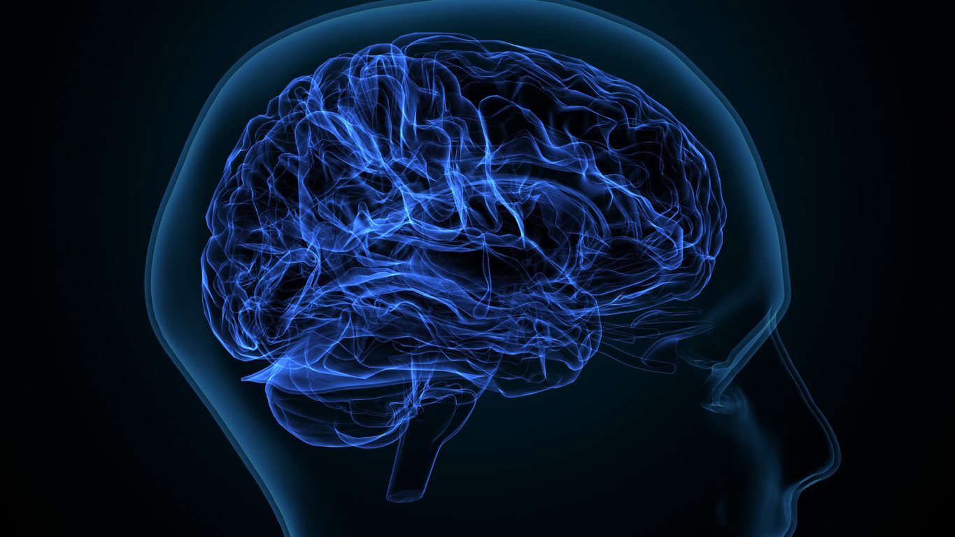 Illustration of a brain inside a human head to help answer the question, "how successful is TMS therapy.